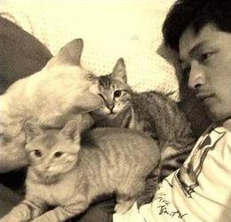 娱乐吃瓜猫张一张